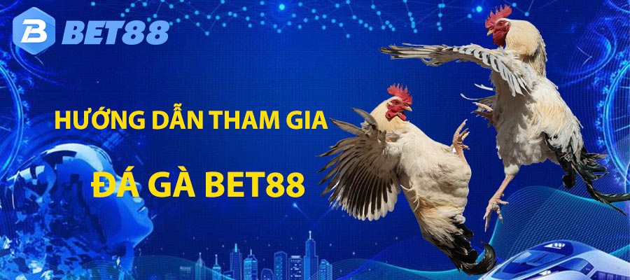 Hướng dẫn chơi đá gà tại bet88