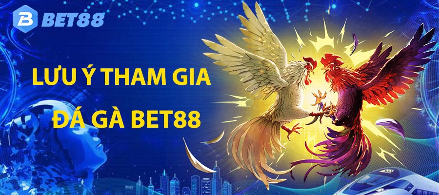 Những lưu ý khi tham gia