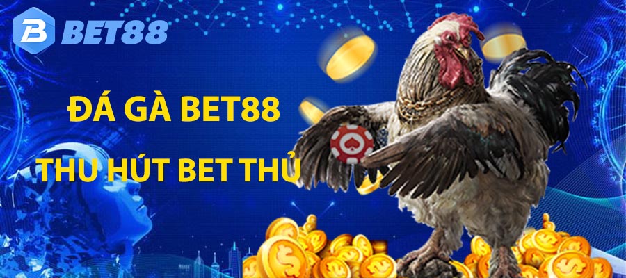 Bet88 thu hút người tham gia